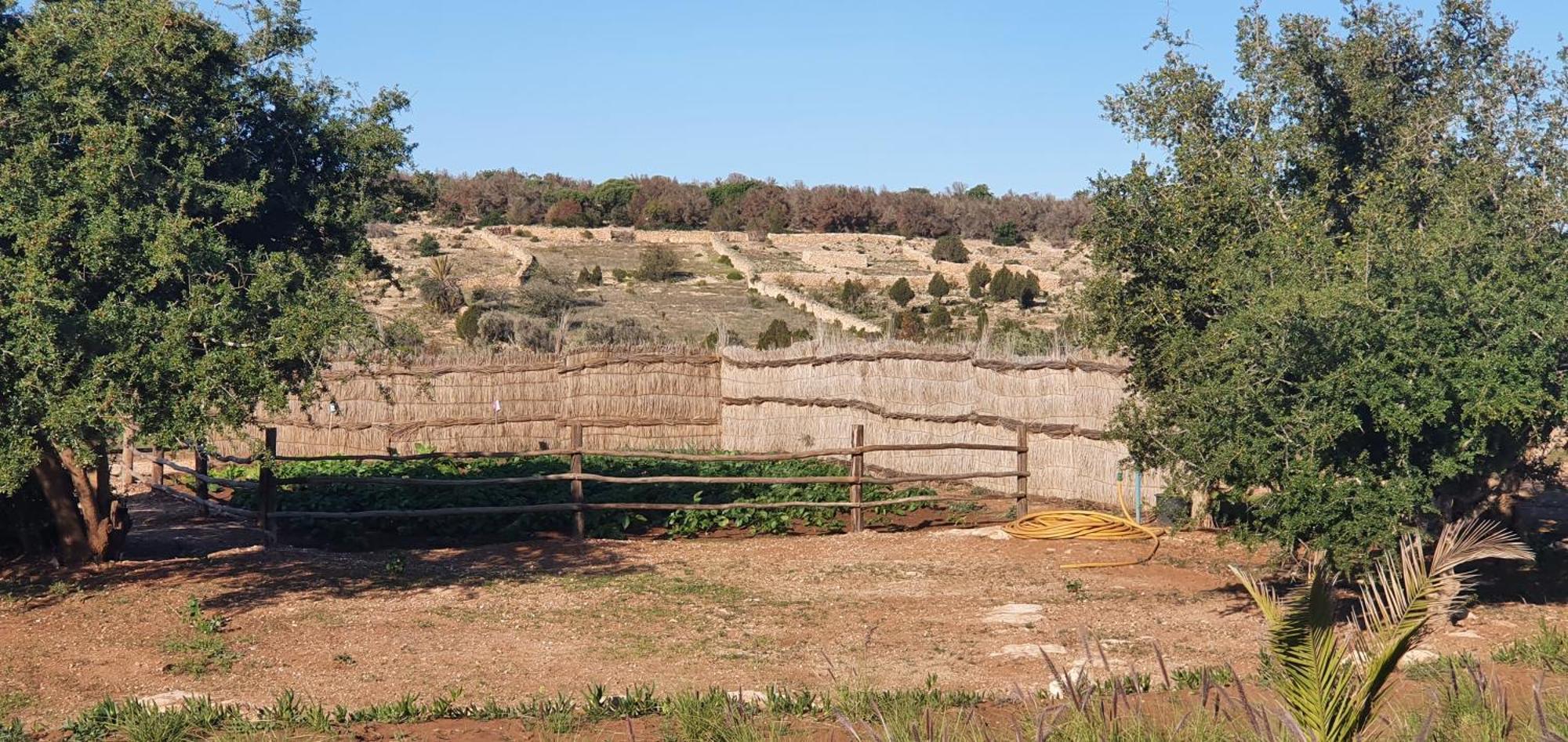 Le Clos De La Roussiere Essaouira Exteriör bild