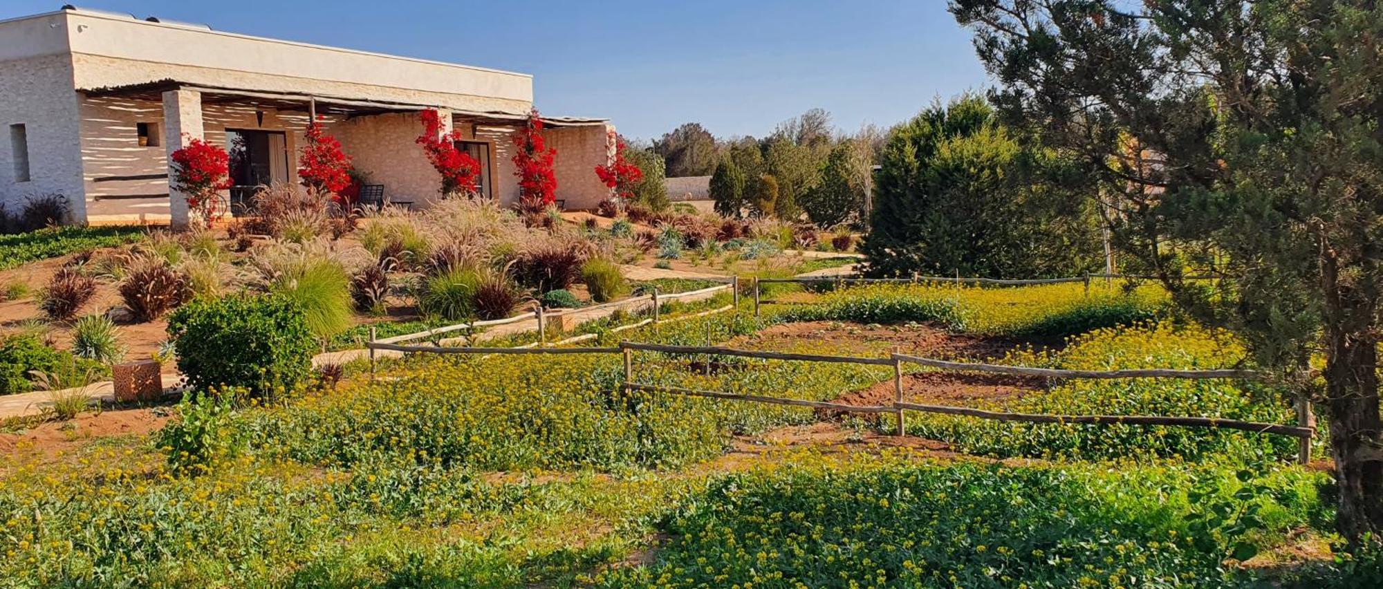 Le Clos De La Roussiere Essaouira Exteriör bild