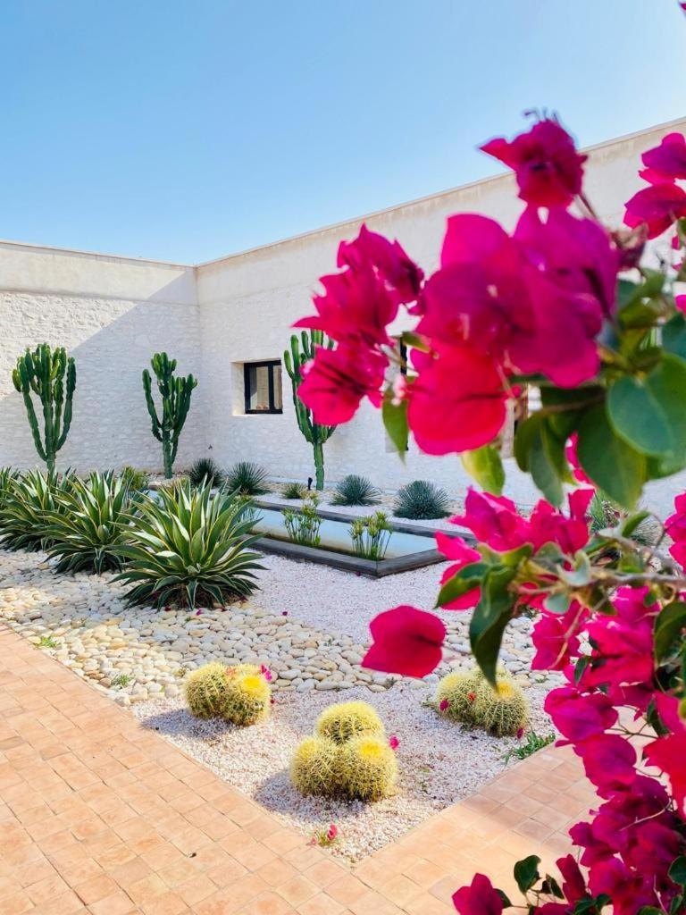 Le Clos De La Roussiere Essaouira Exteriör bild