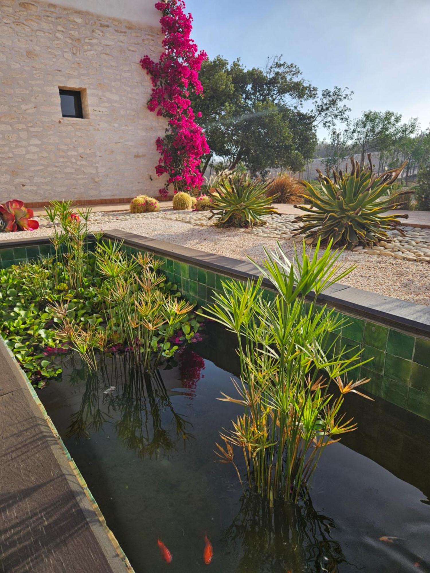 Le Clos De La Roussiere Essaouira Exteriör bild
