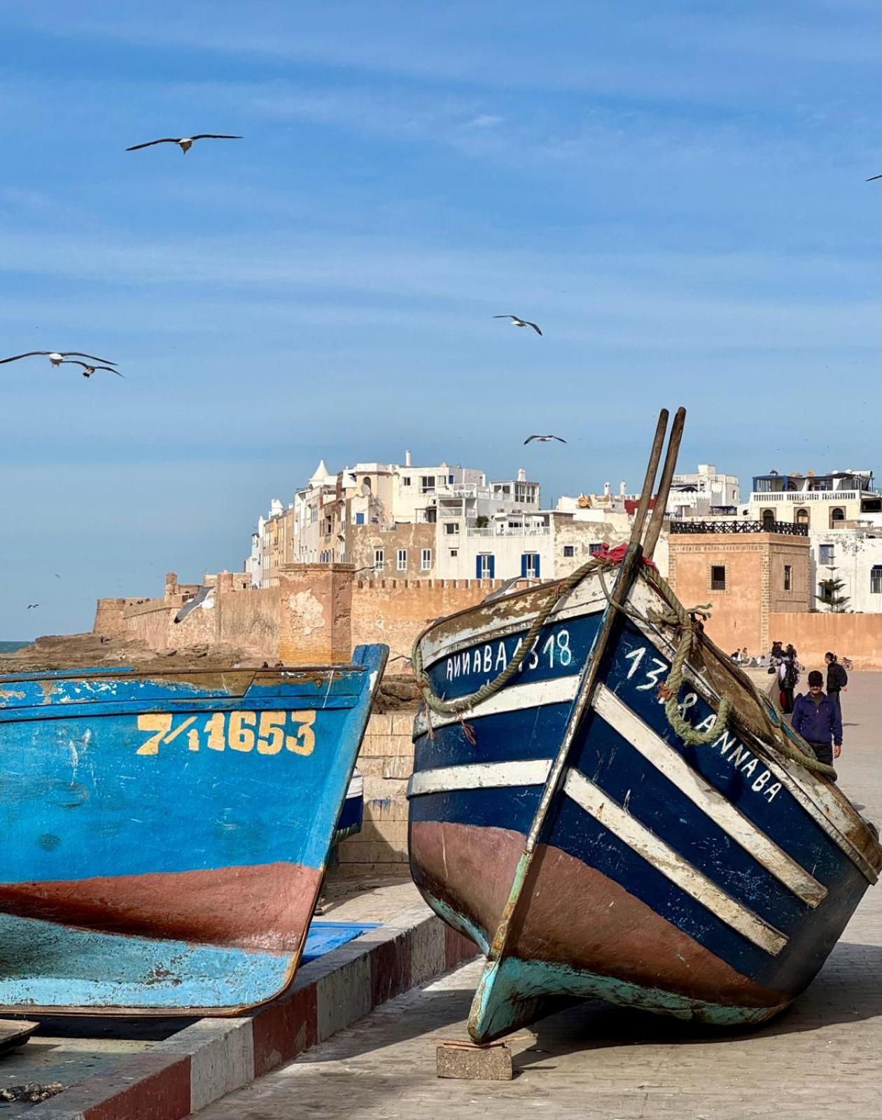 Le Clos De La Roussiere Essaouira Exteriör bild