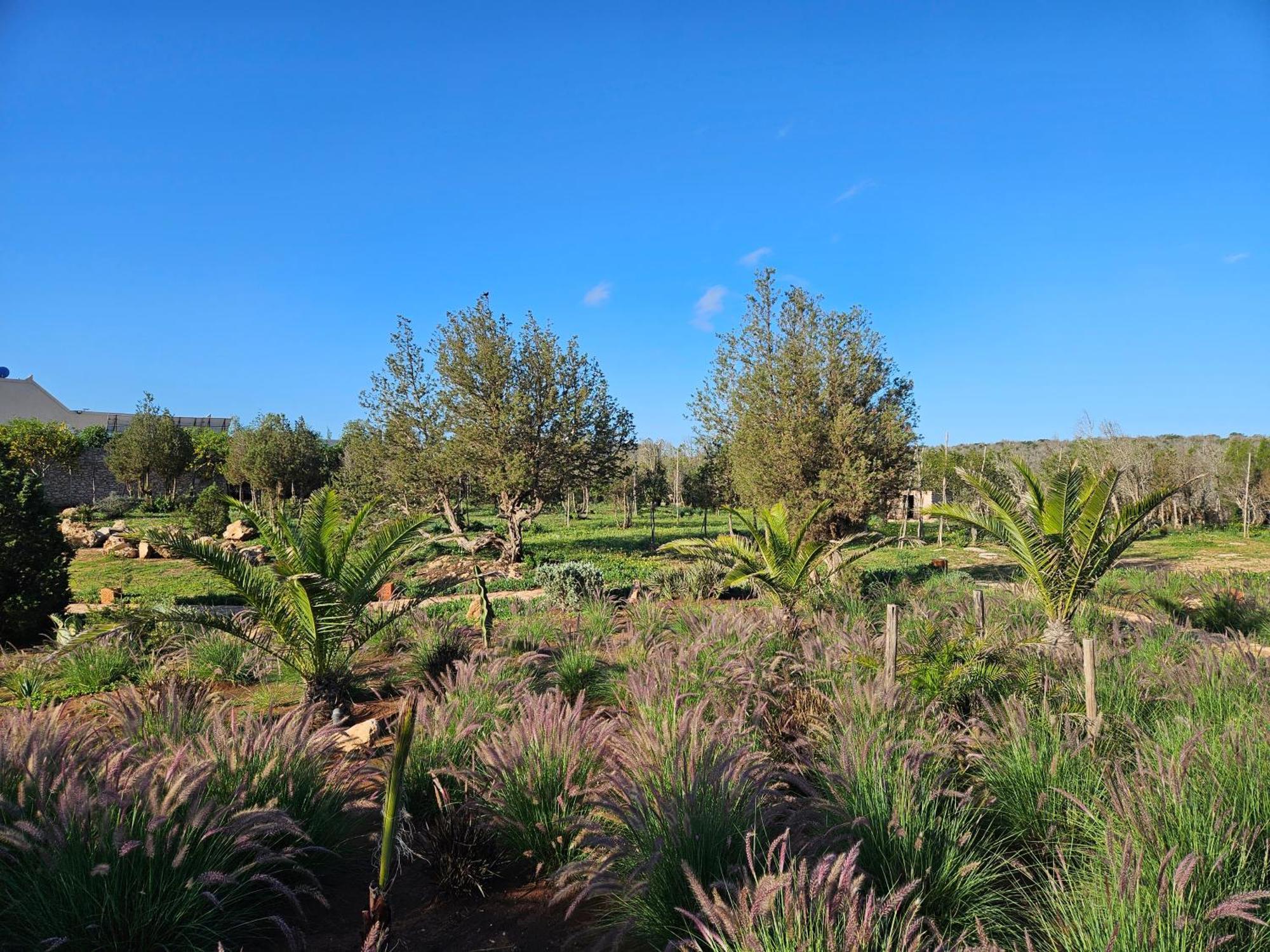Le Clos De La Roussiere Essaouira Exteriör bild