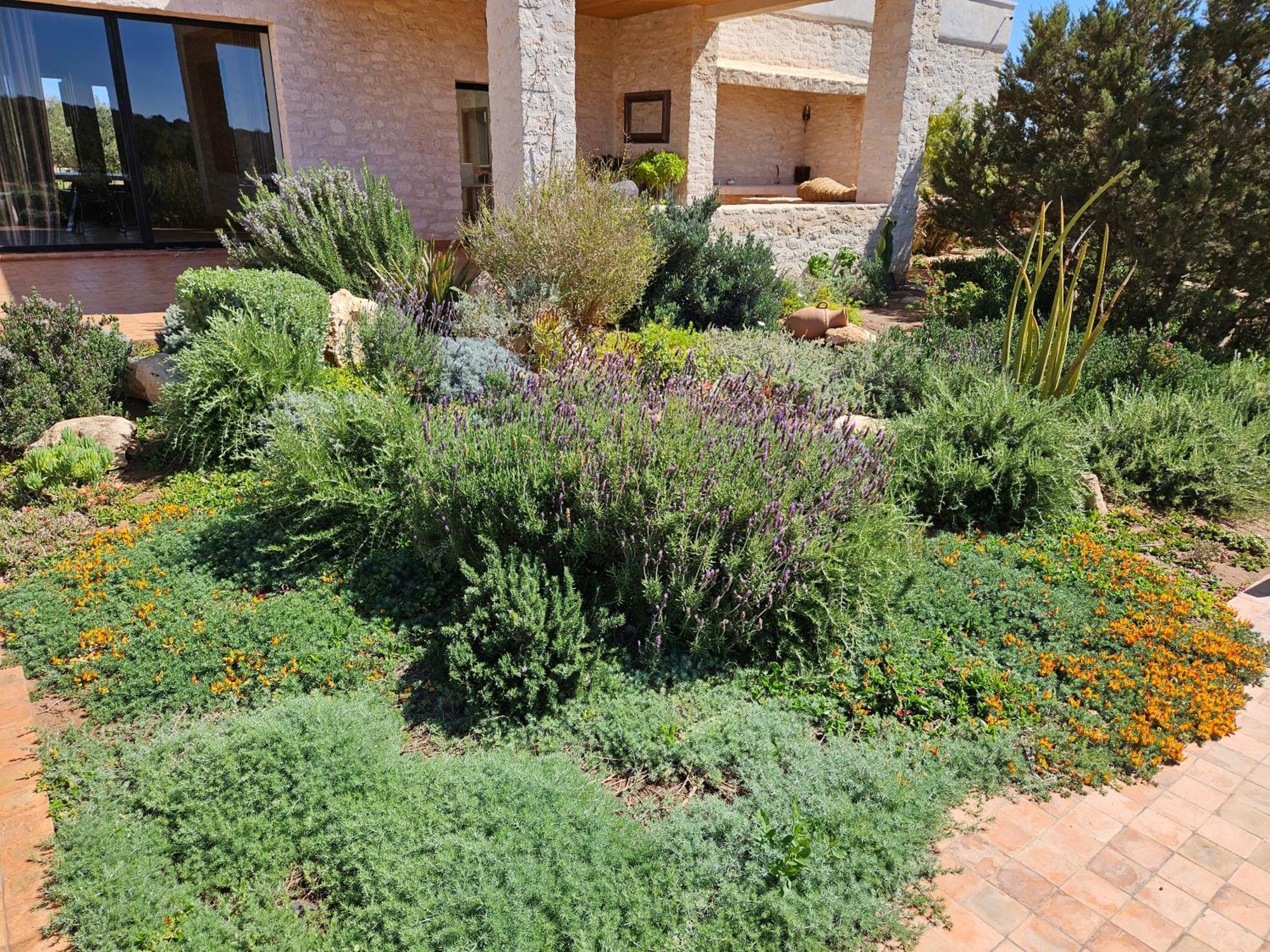 Le Clos De La Roussiere Essaouira Exteriör bild